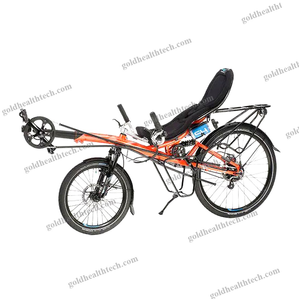 Crank-Propelled Recumbent Bicycle