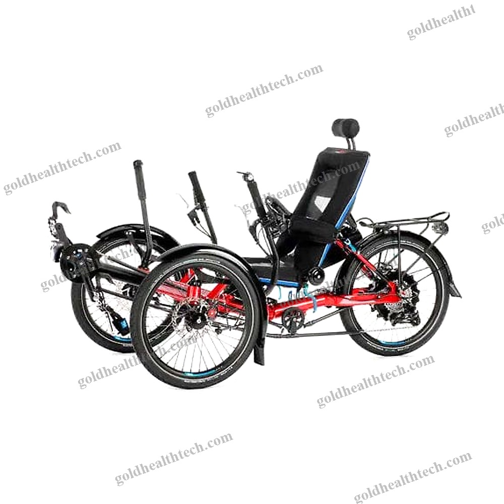 Crank-Propelled Recumbent Trike