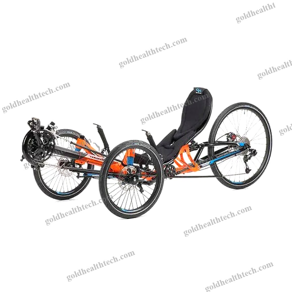 Crank-Propelled Recumbent Trike