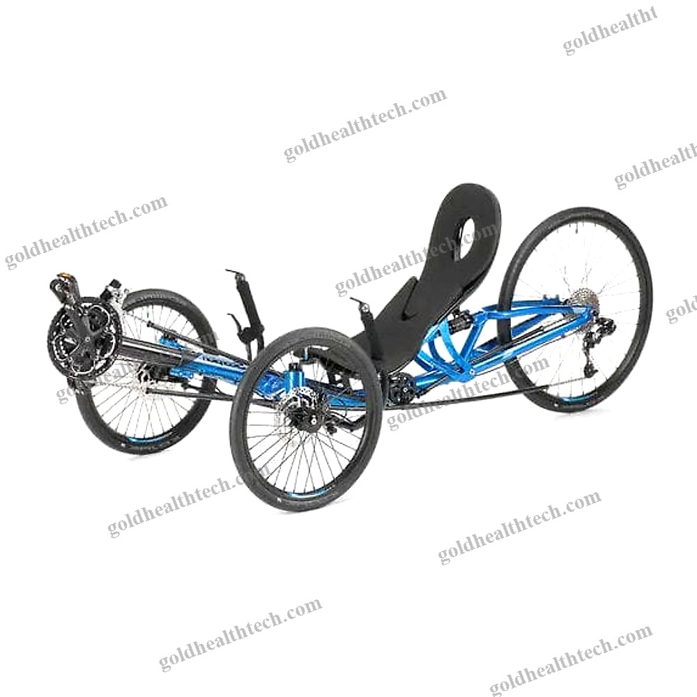 Crank-Propelled Recumbent Trike
