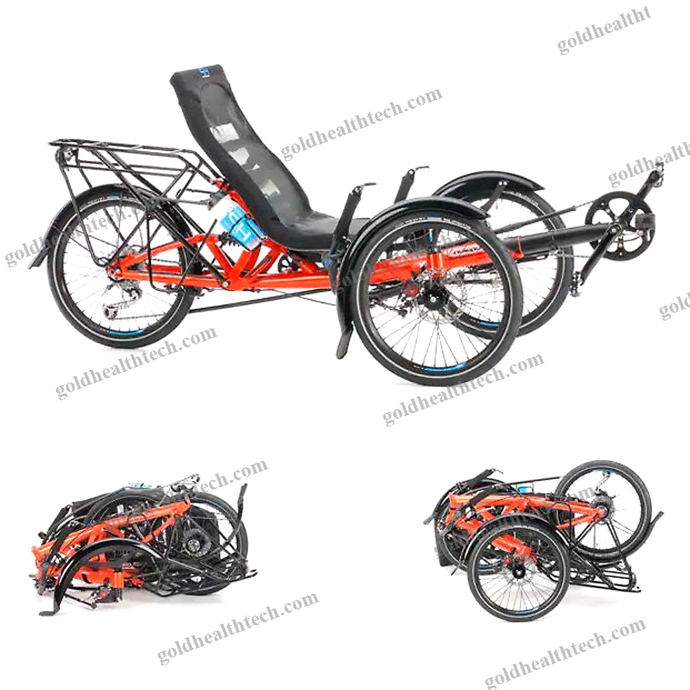 Crank-Propelled Recumbent Trike