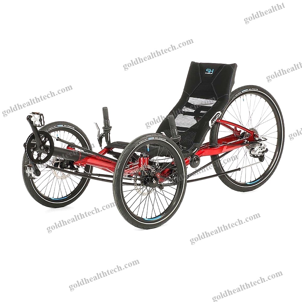 Crank-Propelled Recumbent Trike