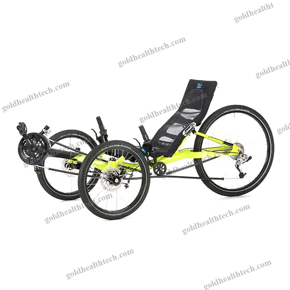 Crank-Propelled Recumbent Trike