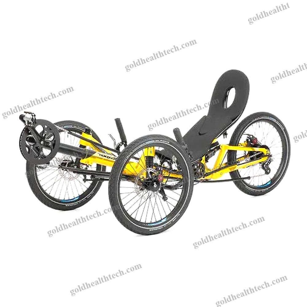Crank-Propelled Recumbent Trike