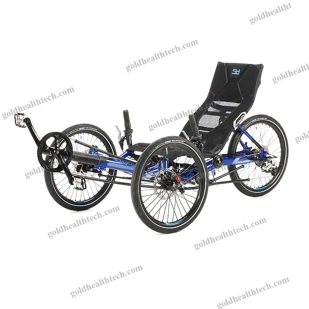Crank-Propelled Recumbent Trike