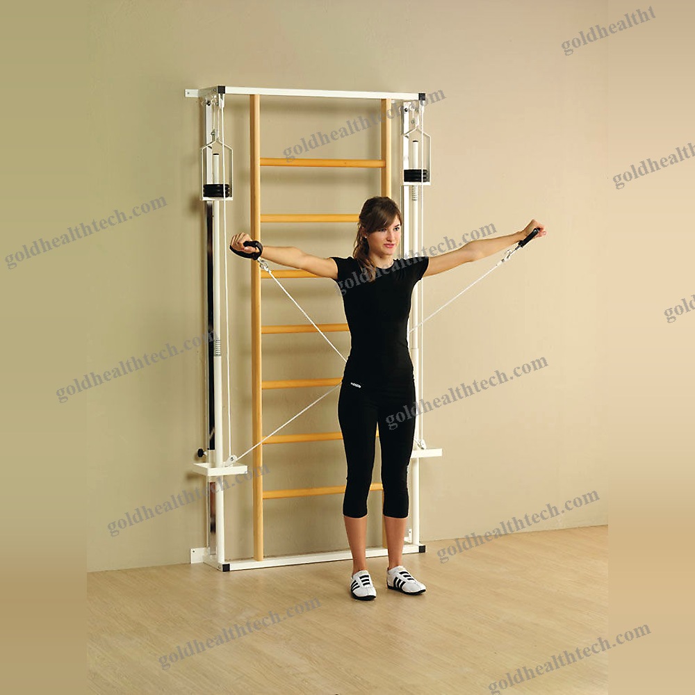 Crossover Exercise Pulley 1