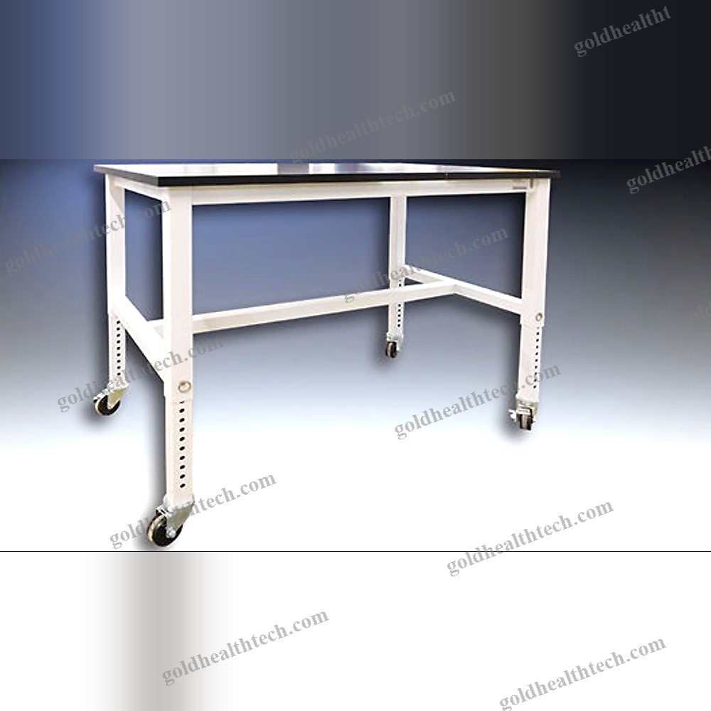 Custom Laboratory Bench