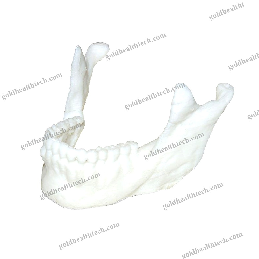 Dental 3D Printer 1