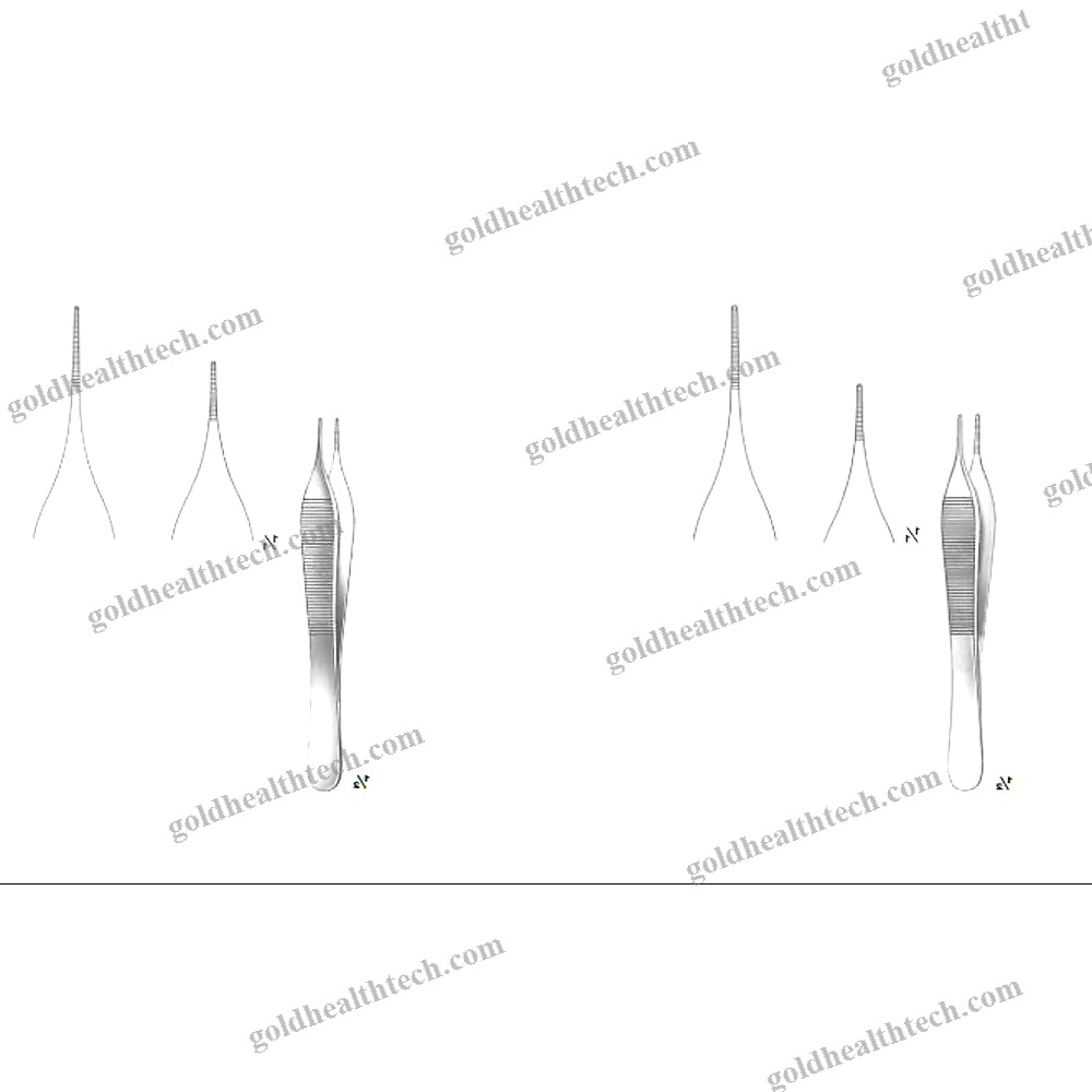 Dental Forceps 1