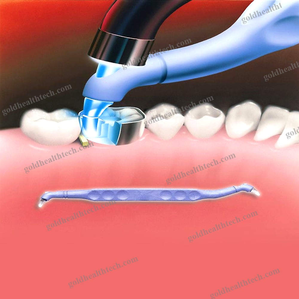 Dental Polymerizer