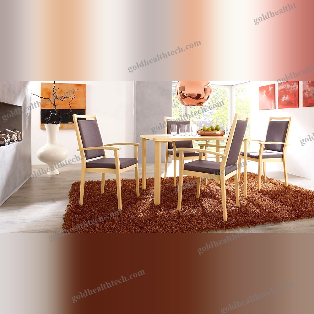 Dining Room Chair 1