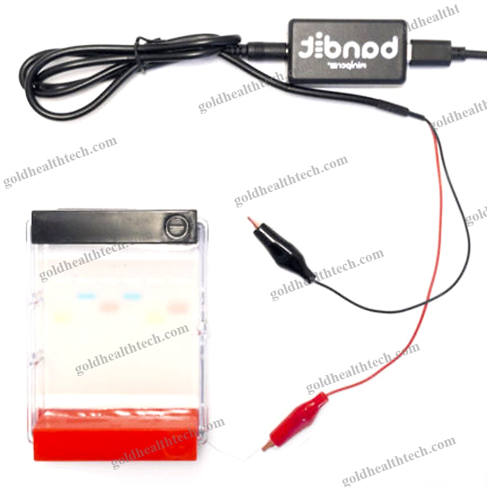 Dna Electrophoresis System