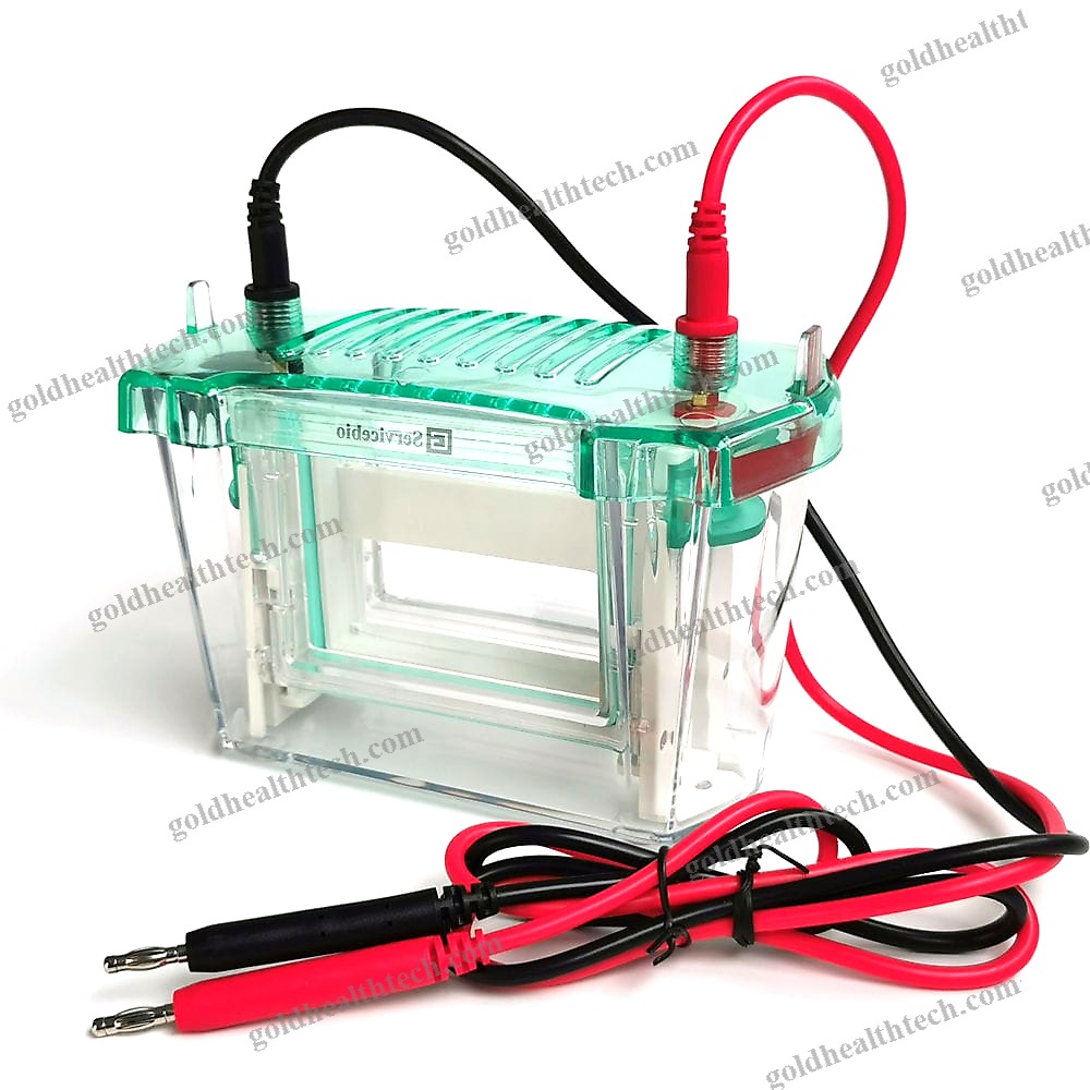 Dna Electrophoresis Tank