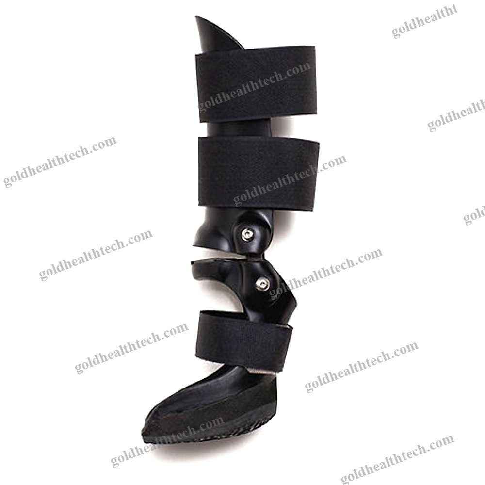 Dog Veterinary Orthosis 1