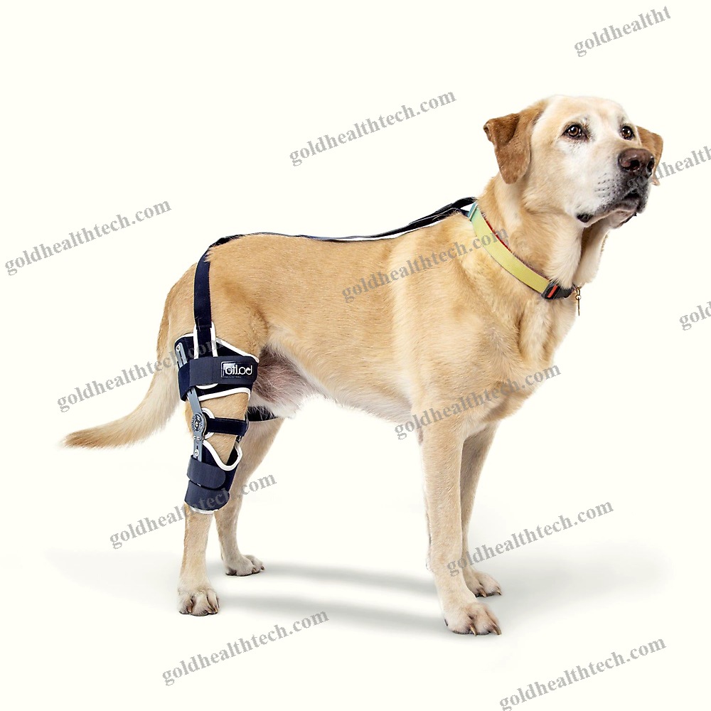 Dog Veterinary Orthosis