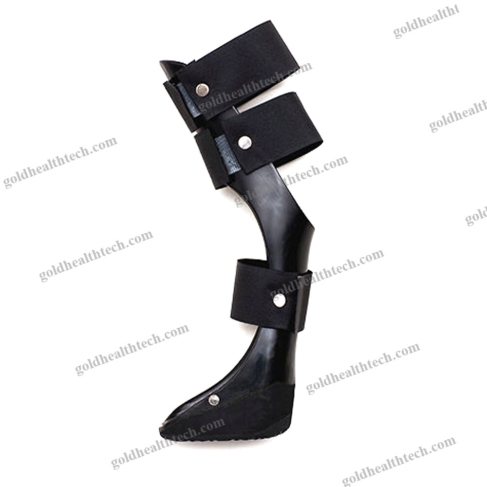 Dog Veterinary Orthosis 1