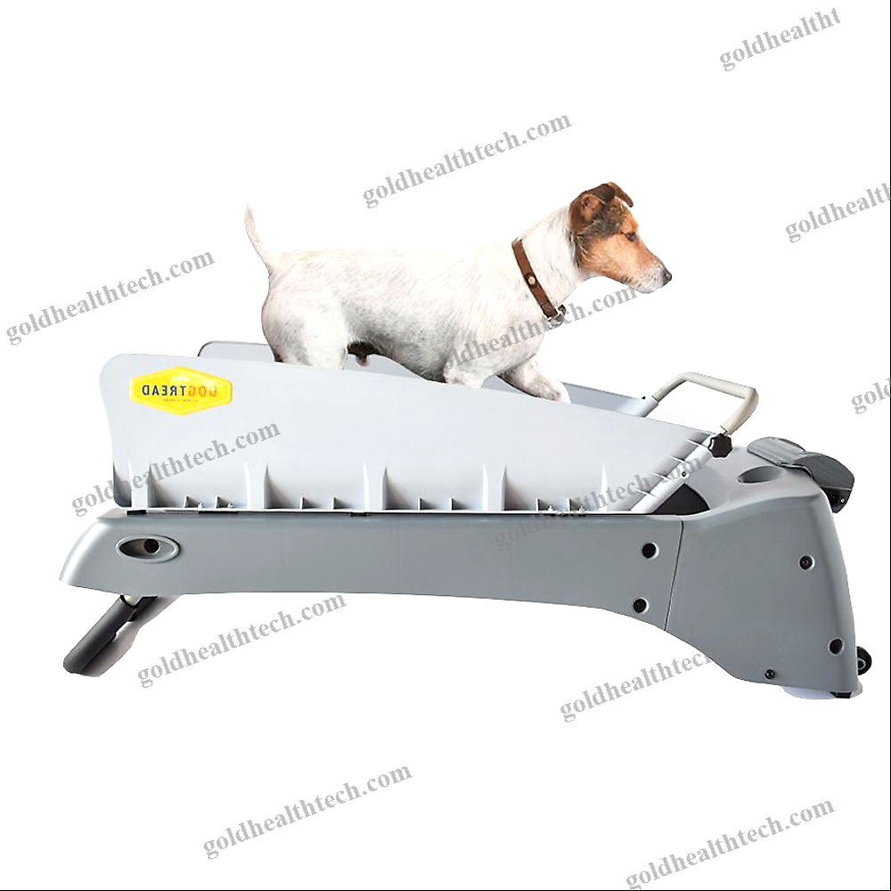 Dog Veterinary Treadmill
