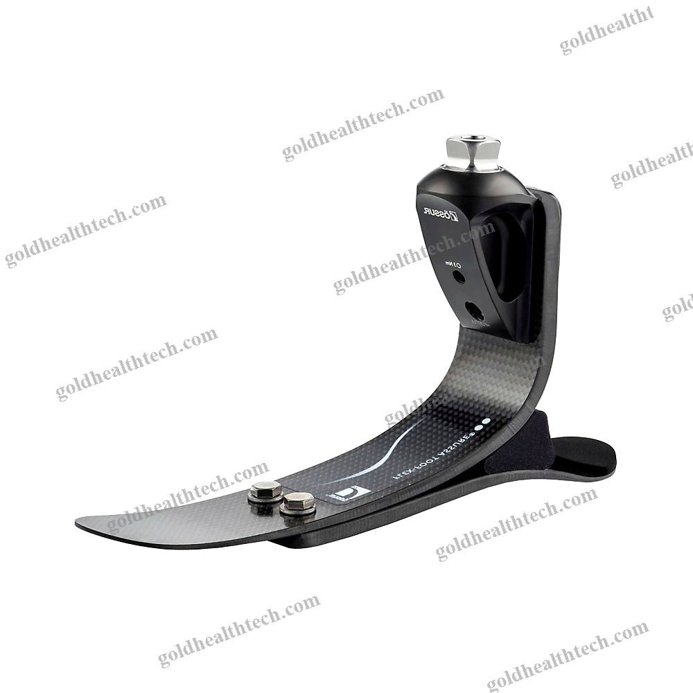 Dynamic Prosthetic Foot