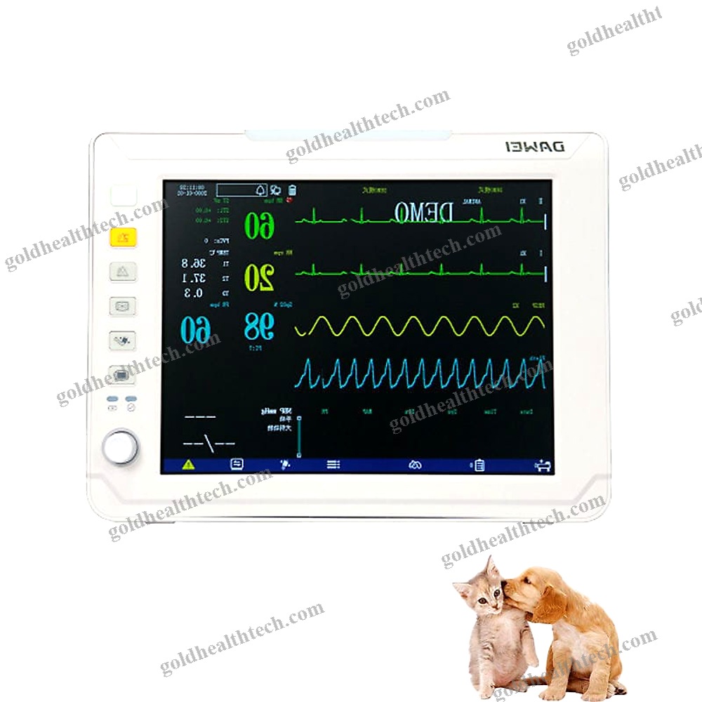 Ecg Patient Monitor