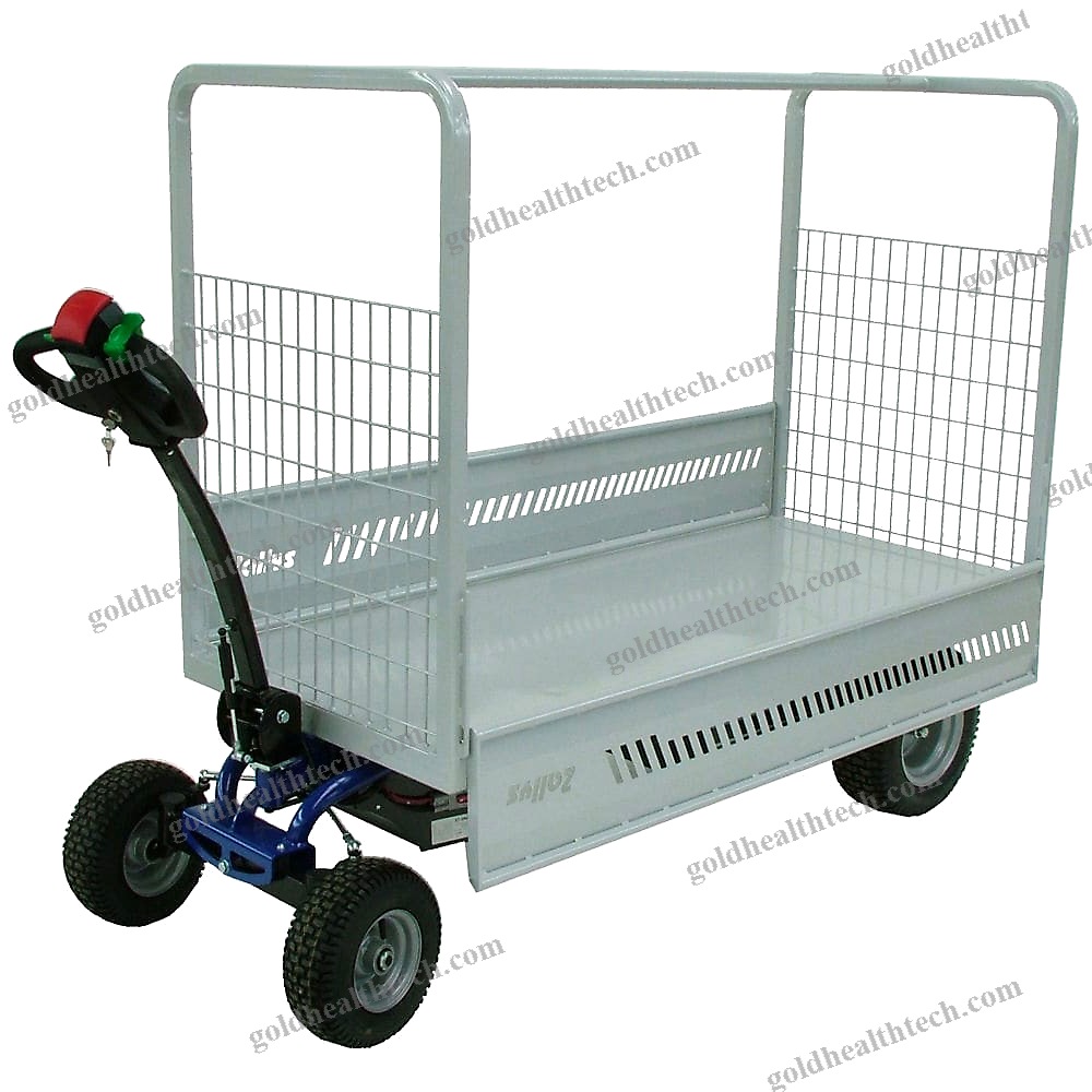 Electric Mover