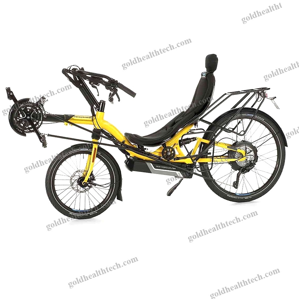 Electric Recumbent Bicycle