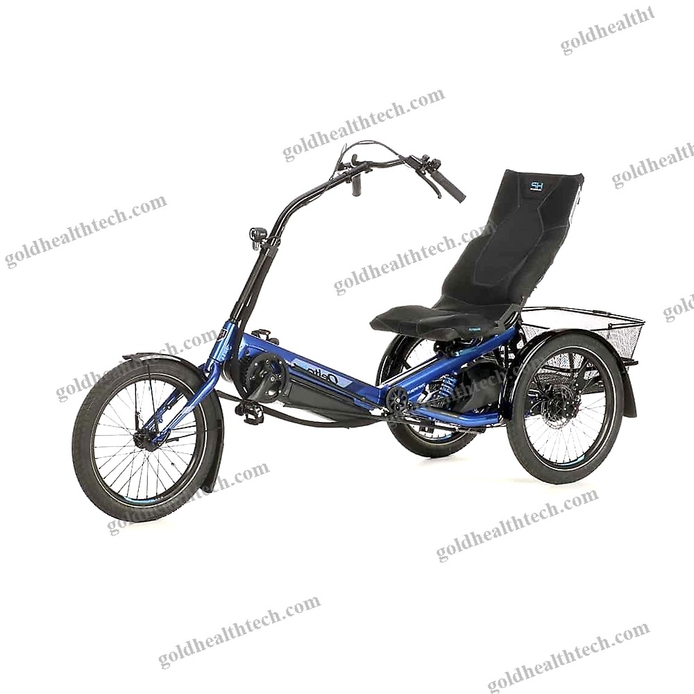 Electric Recumbent Trike