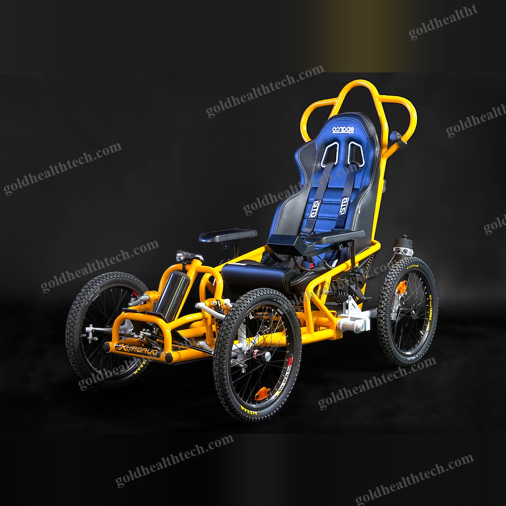 Electric Wheelchair 1
