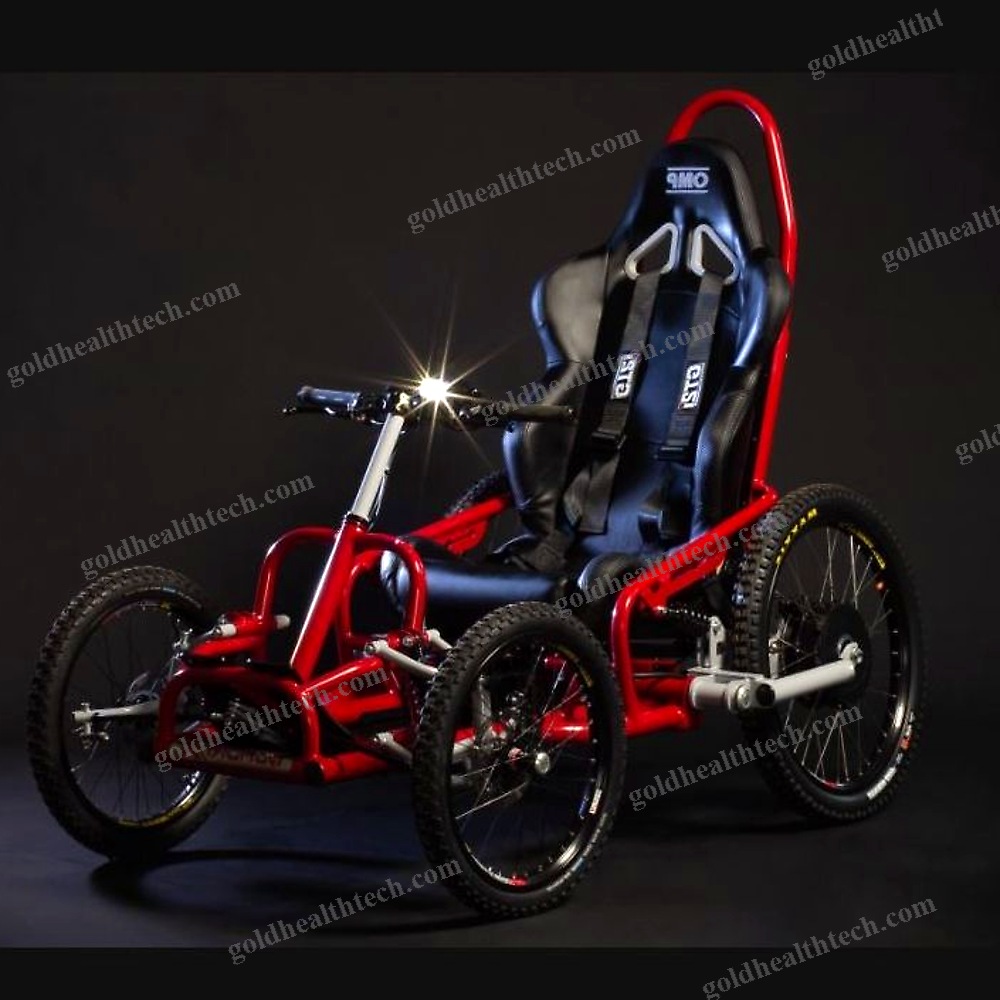 Electric Wheelchair