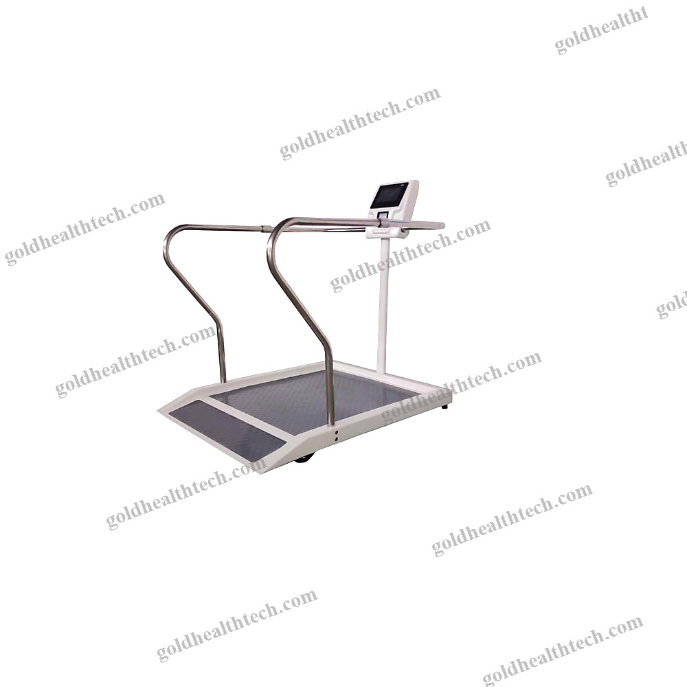 Electronic Platform Scale 1