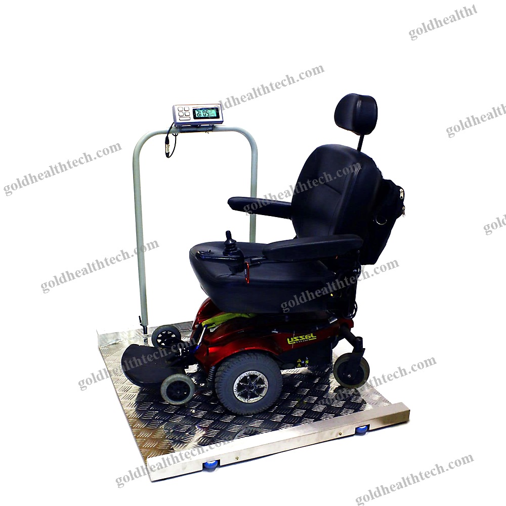 Electronic Platform Scale 1