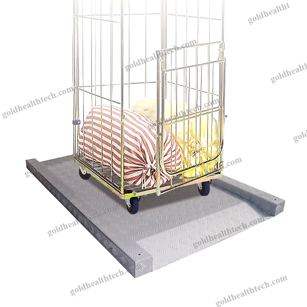 Electronic Platform Scale