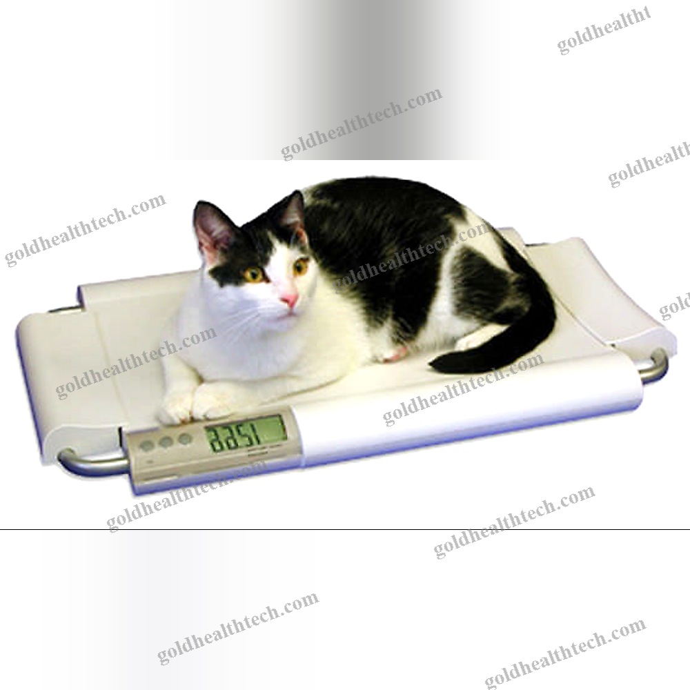 Electronic Veterinary Weighing Scale