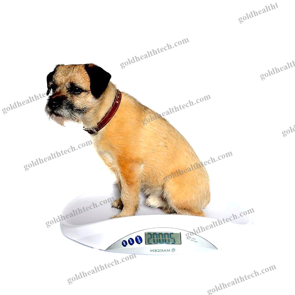 Electronic Veterinary Weighing Scale 1