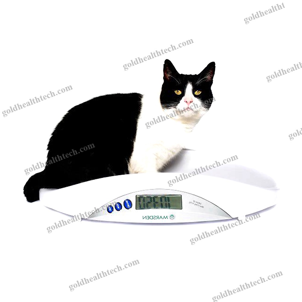 Electronic Veterinary Weighing Scale