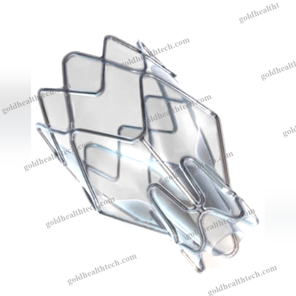 Endobronchial Valve Bioprosthesis