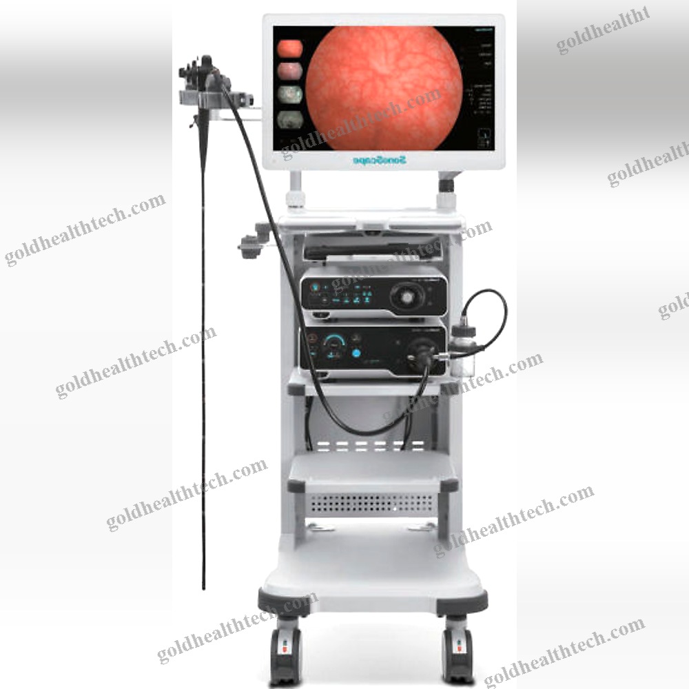 Endoscopy Column