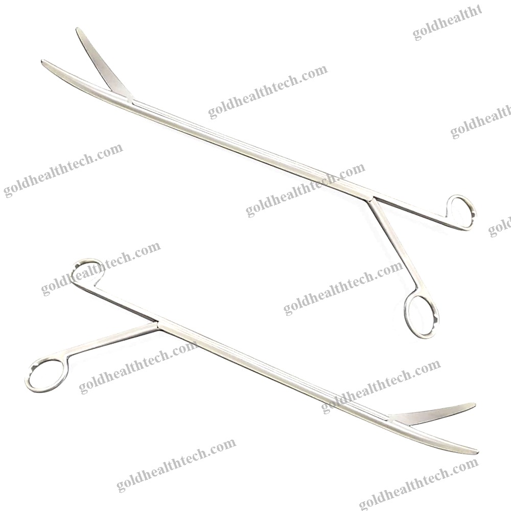 Endoscopy Micro Forceps