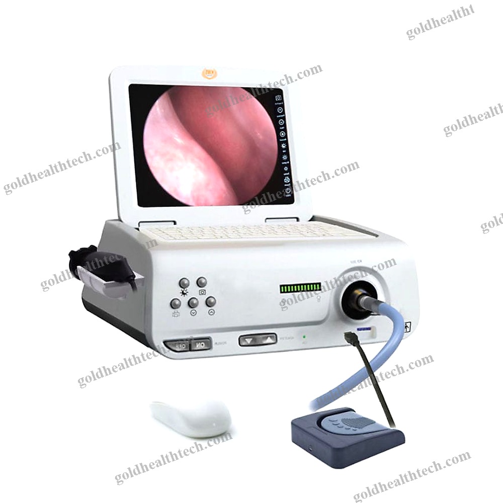 Endoscopy Video Processor