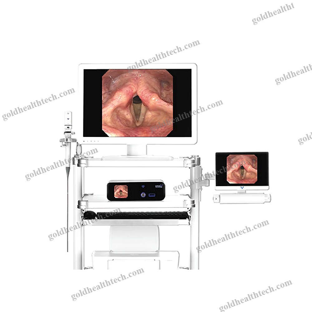 Ent Endoscopy Column