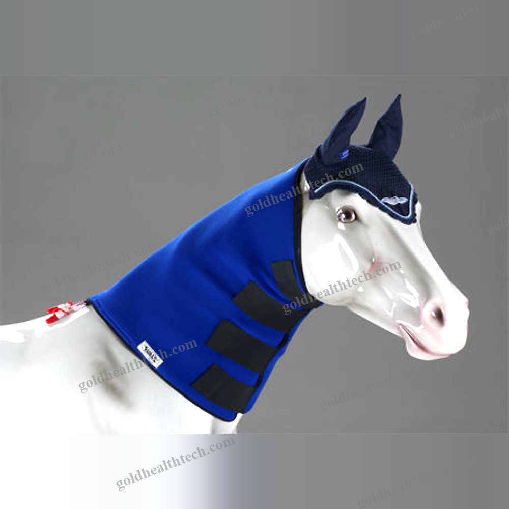 Equine Veterinary Orthosis 1
