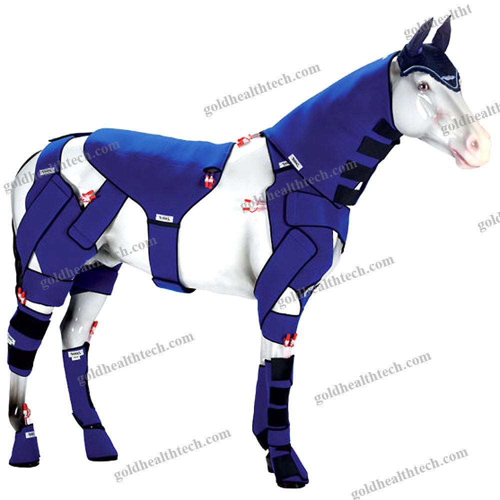 Equine Veterinary Orthosis