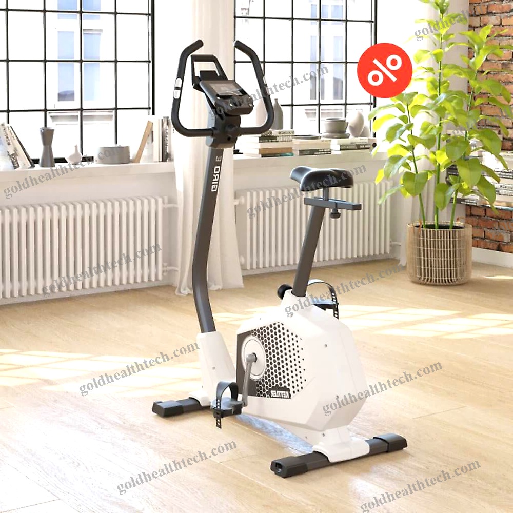Ergometer Exercise Bike