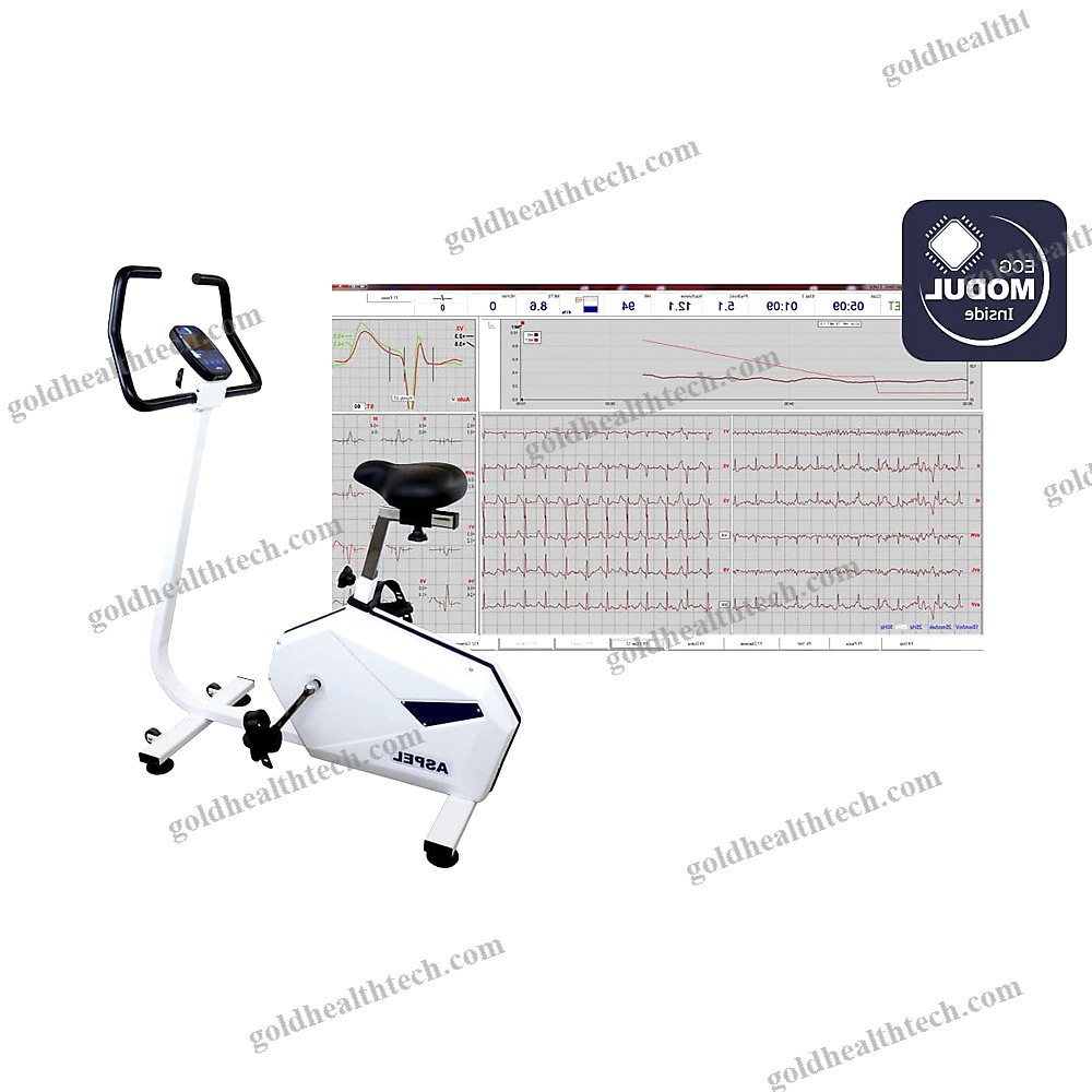 Ergometer Exercise Bike