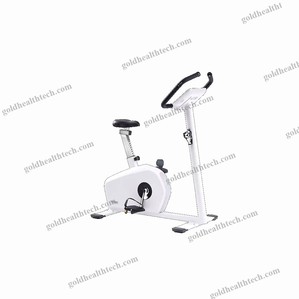 Ergometer Exercise Bike