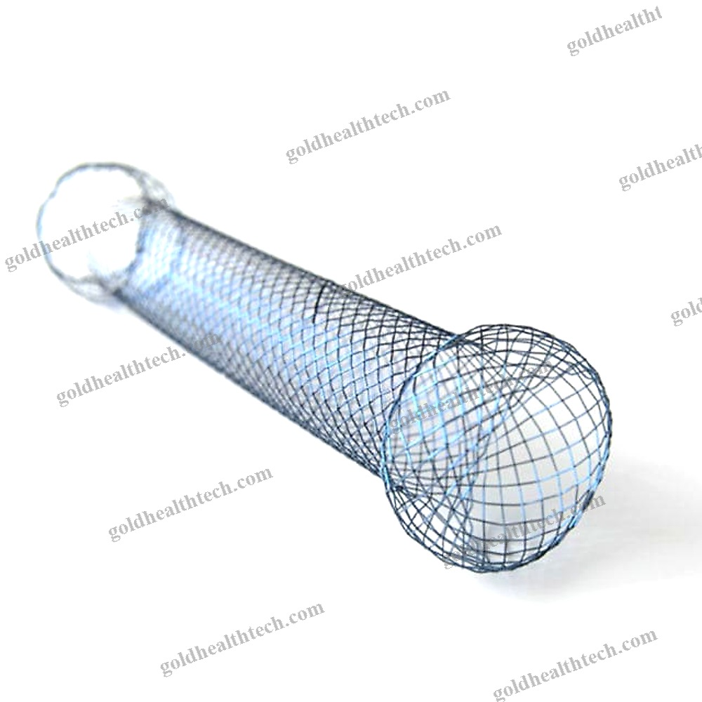 Esophageal Stent