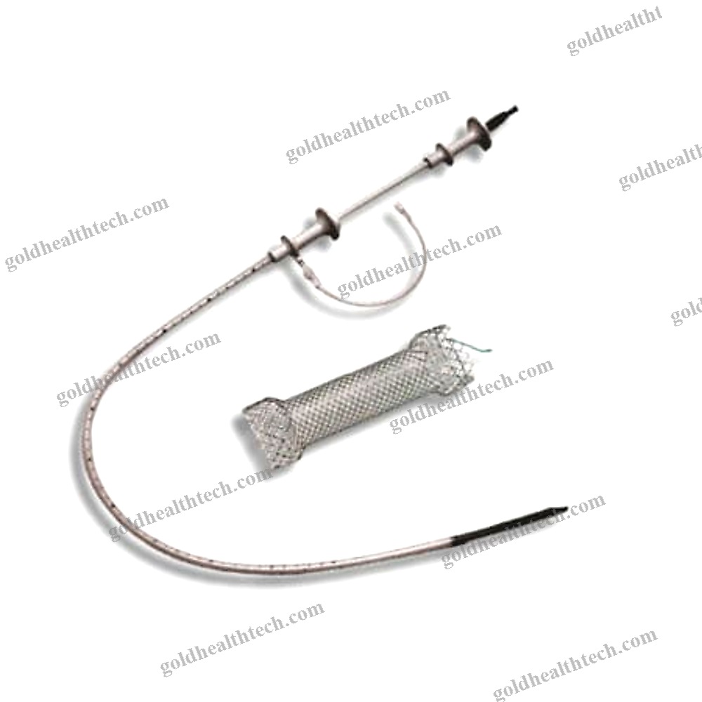 Esophageal Stent