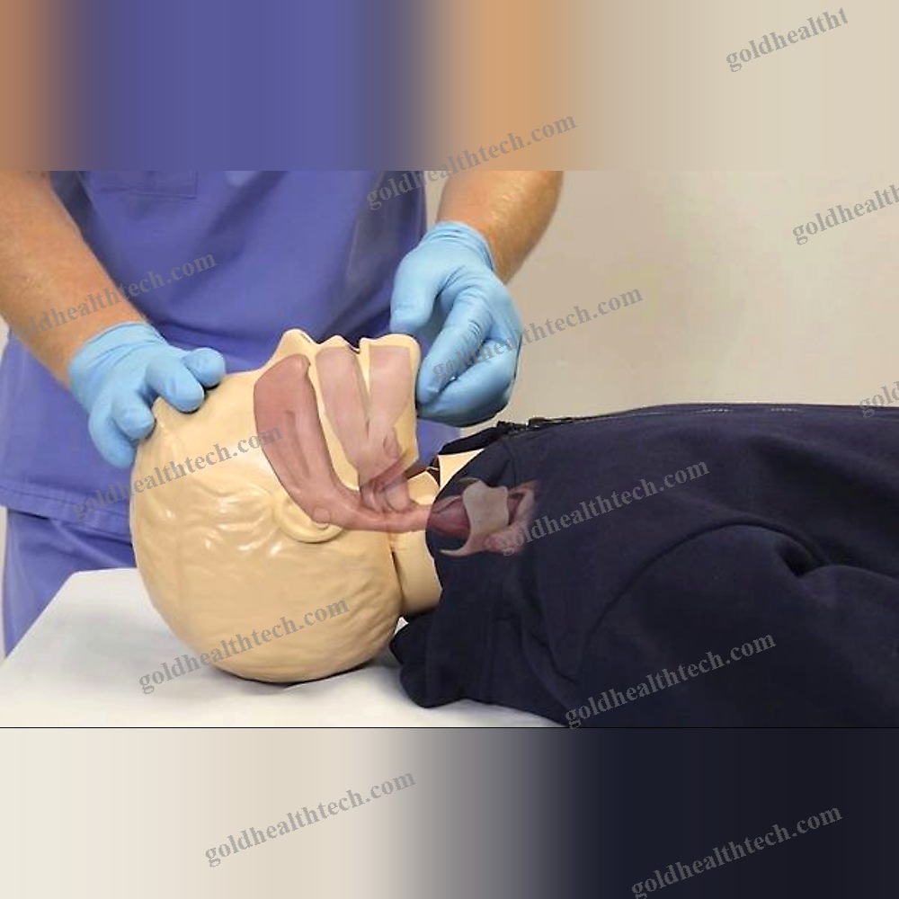 Evaluation Simulation Module