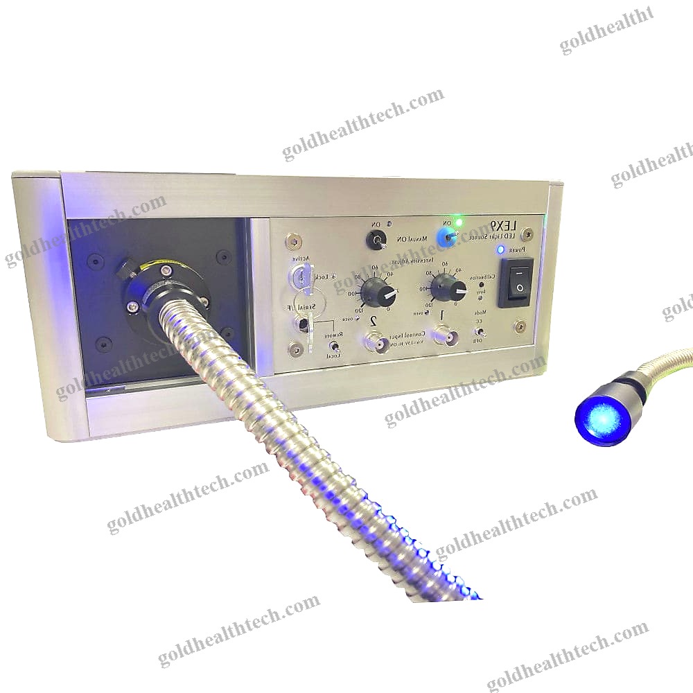 Excitation Light Source