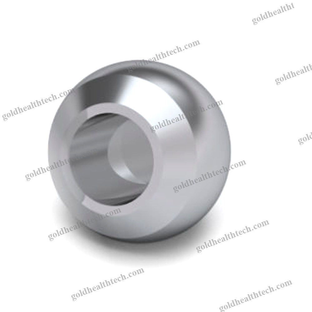 Femoral Head Prosthesis