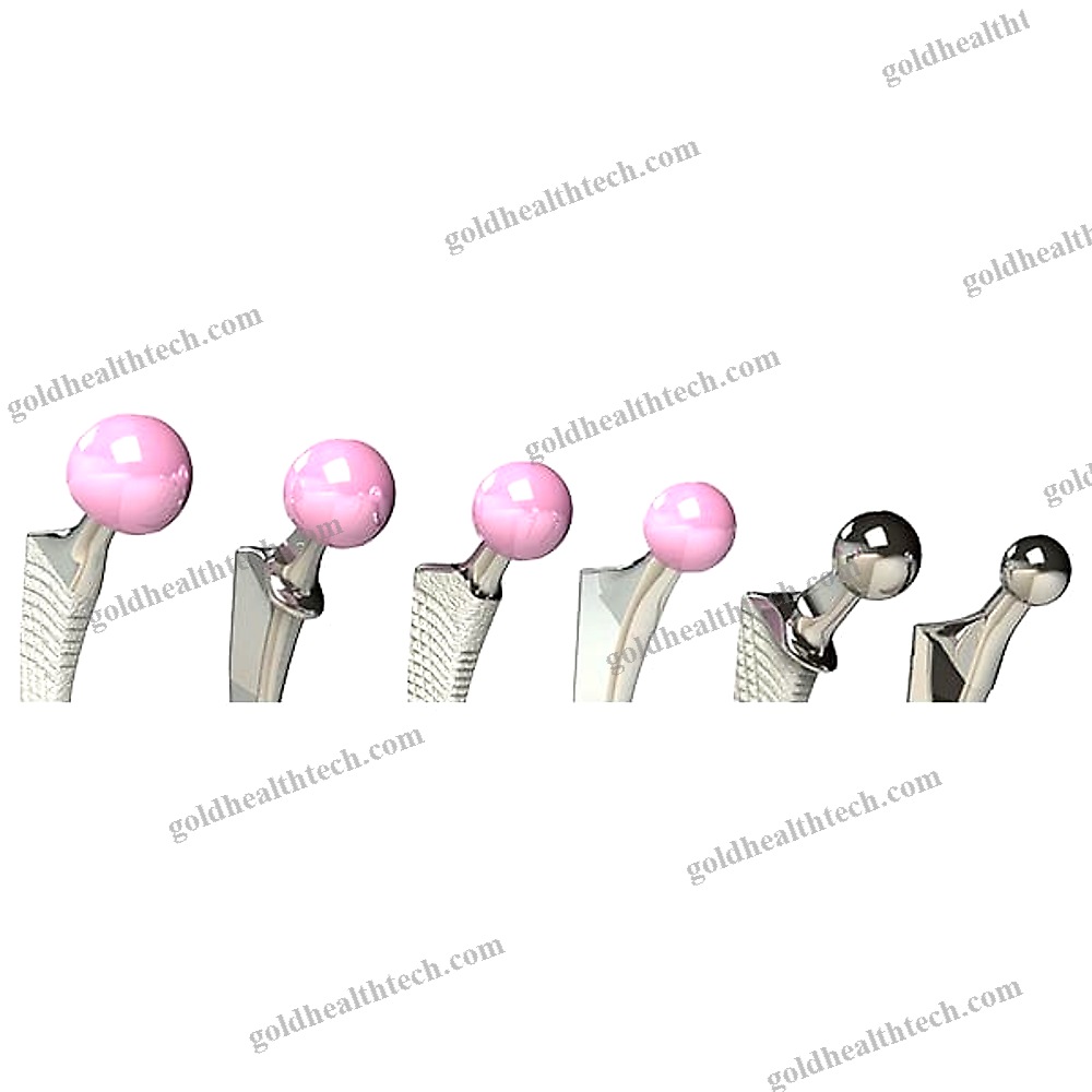 Femoral Head Prosthesis